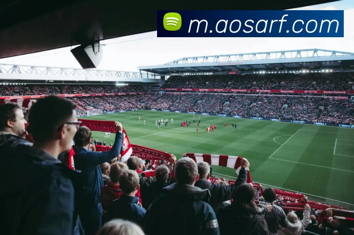 OG电竞APP 高清赛事图
